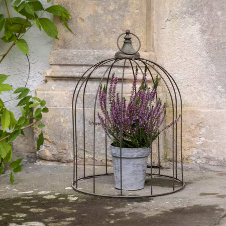 Metal Garden Cloche with heritage look and feel