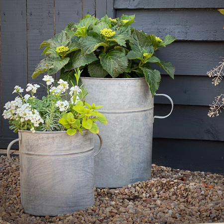 Darley Zinc Planters - Cottage style garden products styled with young plants from Little Cottage Loves