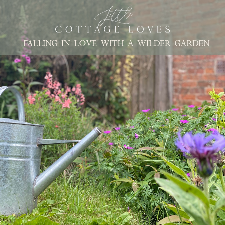 A note on rewilding our Cottage garden