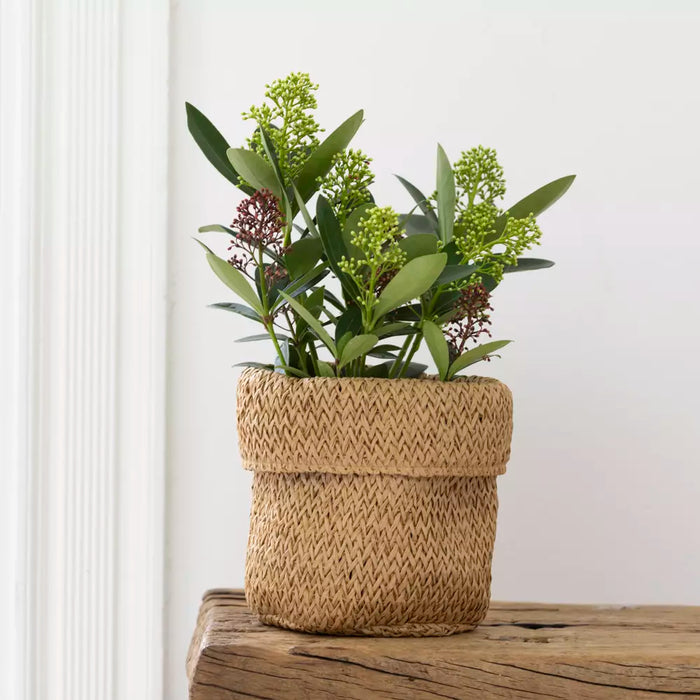 Recycled Paper Planter