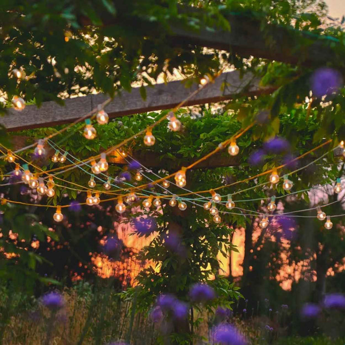 Warm White Festoon Lights
