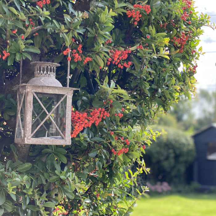 Little Metal Lantern