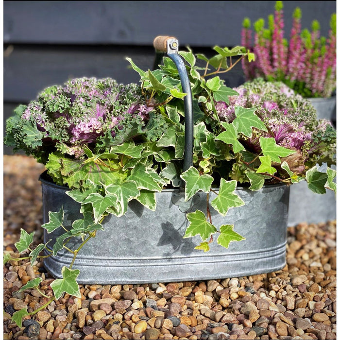 Zinc Planter with Handle