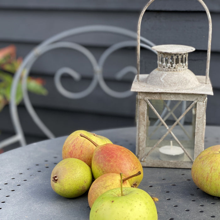 Little Metal Lantern